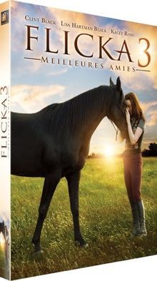 Flicka 3 : Meilleures amies von not specified | DVD | Zustand gut