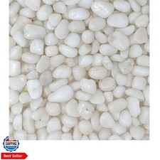Decorative White Pebbles for Plants  Vase Filler  Polished Natural Stones ...
