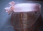 Bild 8 von 11