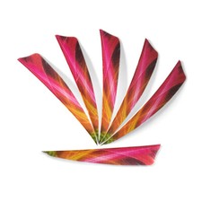 50 X 4'' Archery Arrow Feather Shield Natural Feather Fletching Right Wings DIY