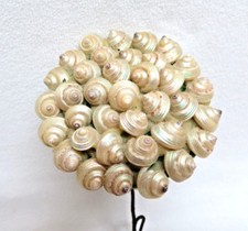 Vintage 1940's Flower Stem of Genuine Iridescent Seashells