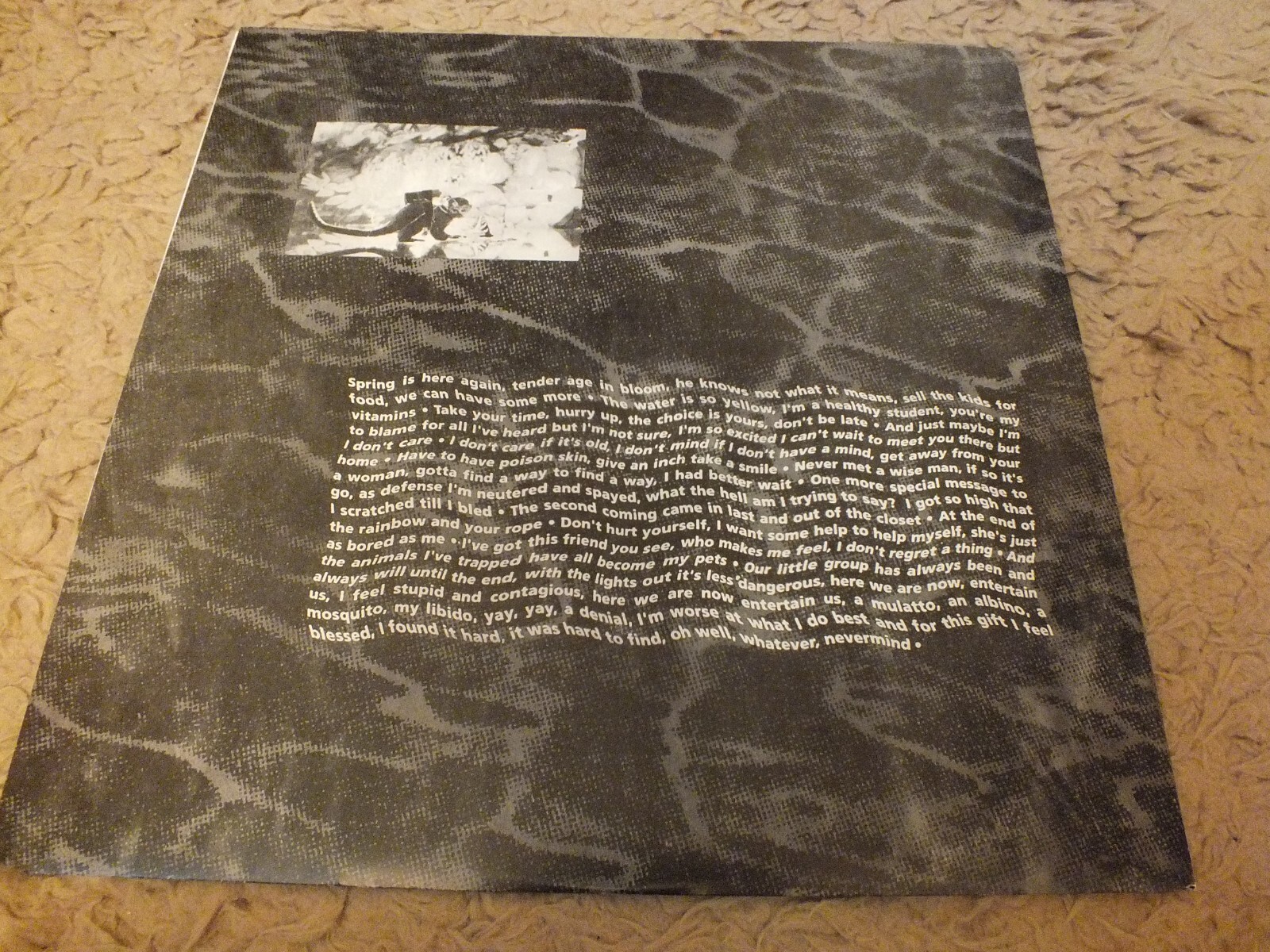 Picture 3 of 7