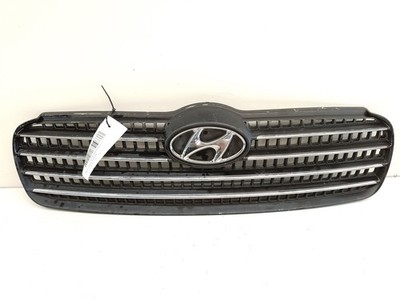 FRONTGITTER FÜR HYUNDAI ACCENT MC 1.5 CRDI CAT 10166011               10166011