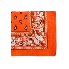 Pack of 10 Daily Basic 100 Polyester 22 x 22 Paisley Printed Bandanas