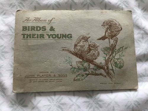 Birds & Their Young - John Player & Sons - Complete Album Cigarette Cards - 1937