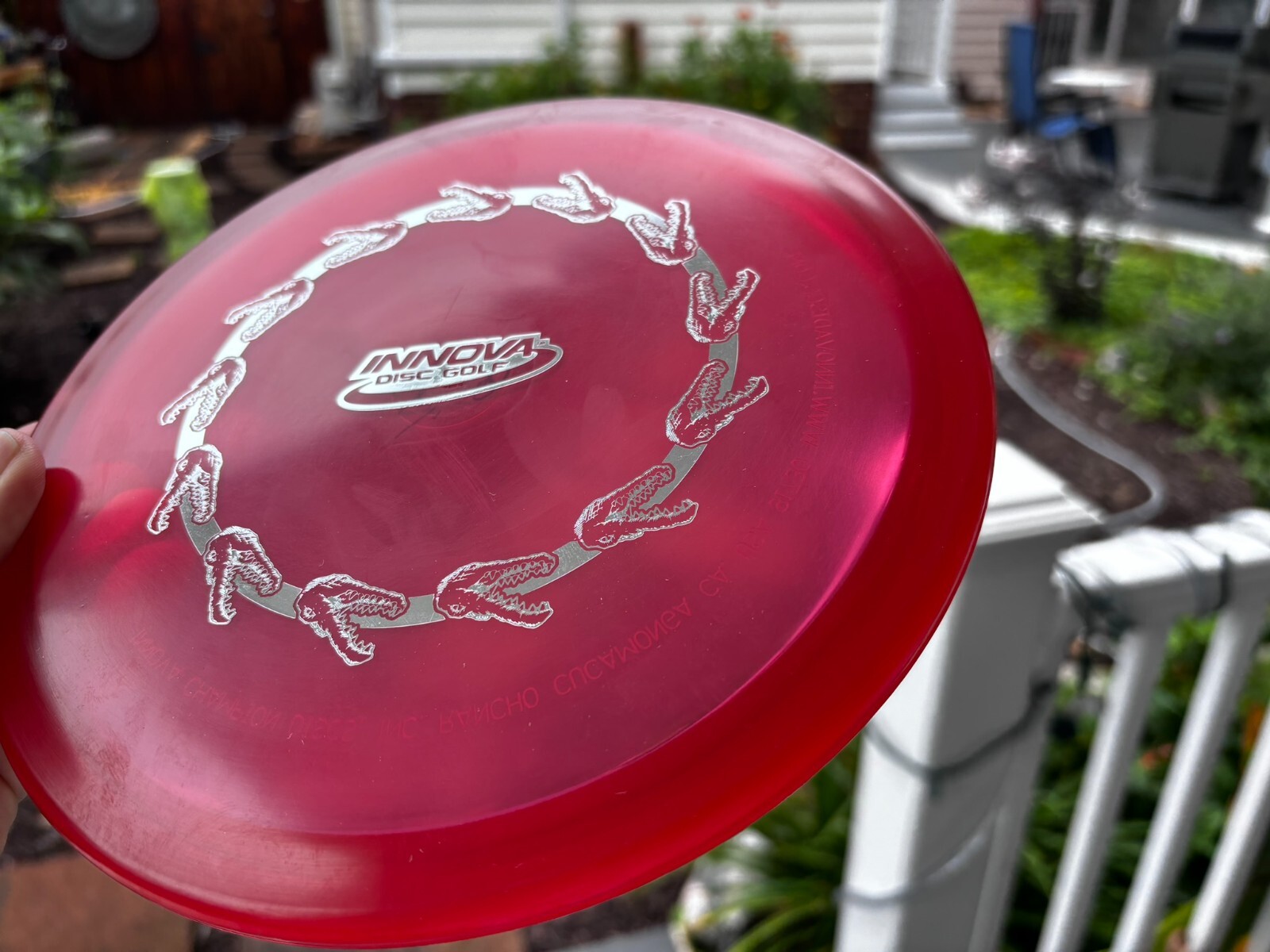 Disc Golf Innova Champion Gator (Ring of Gators) Penned PFN (Free Returns) #3968 - Thumbnail 4