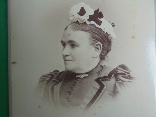 ANTIQUE CDV PHOTO CARD VICTORIAN LADY RICHARDS BALLARAT c1880 - Picture 3 of 4