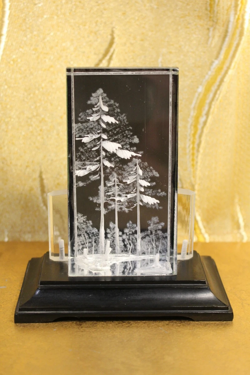 Desktop plexiglass deals