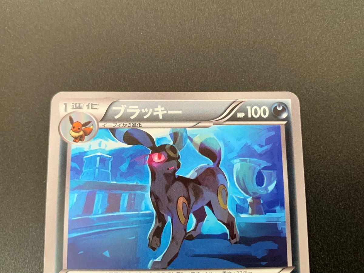 ブラッキー 042/069 BW4 | adventure-guides.co.jp