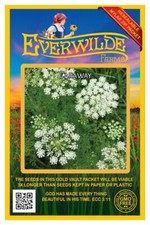 1000 Caraway Herb Seeds - Everwilde Farms Mylar Seed Packet
