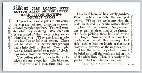 Cars loaded with cotton Blakes on levee, near cotton growing district, Texas - Picture 2 of 2