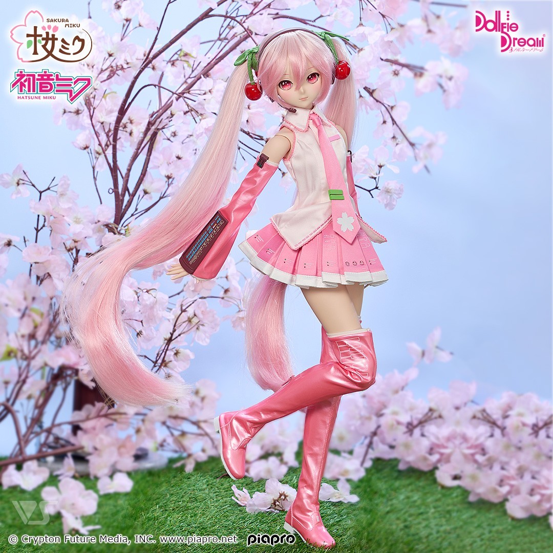 DD Dollfie Dream Sakura Miku 2.0 Figure Doll & VOLKS 570mm Hatsune