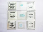 3 Vintage Microscope Slide. Maize, Dandelion, Cabbage with Clubroot. by N.B.S.