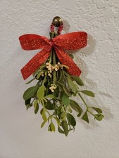 Fresh Mistletoe Bunch With Pink Berries, And Red Bow