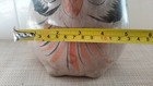 Foto 10 di 12