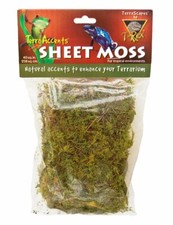 T-Rex Sheet Moss