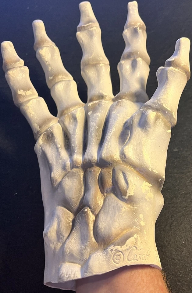 万圣节服装 13 英寸 SKELETON 手部恐怖道具重型橡胶 Cesar 1984 复古! — 第 2/4 张图片