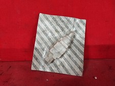 INTERRUTTORE LUCE FRENO ALFA 147 - FIAT PANDA - LANCIA LYBRA ORIGINALE 51713873