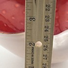 Foto 12 di 13