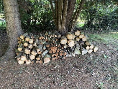 Seasoned Hardwood Wood Logs For Open Fire /log Burner | eBay UK