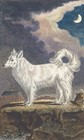 Afbeelding 2 van 4