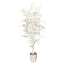 LCG Florals 72" Tall Artificial Designer White Ficus Tree in White Metal Pot