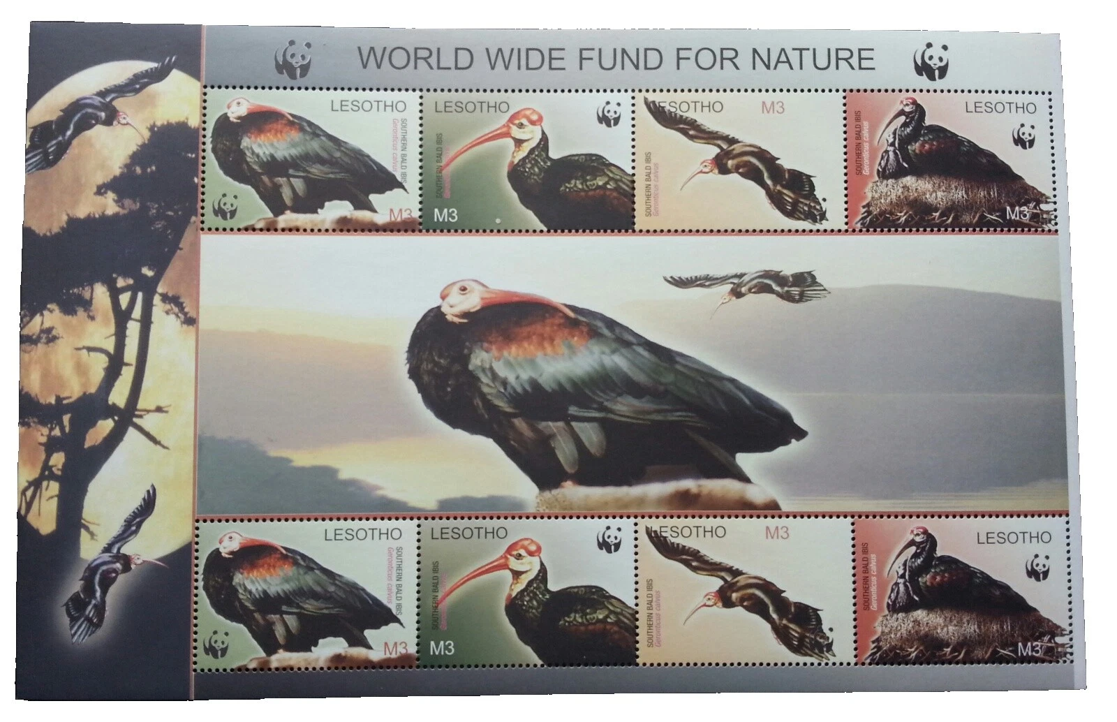 First Day of Issue Birds Basotho Stamps