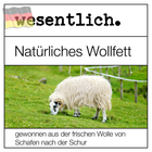 Bild 3 von 8