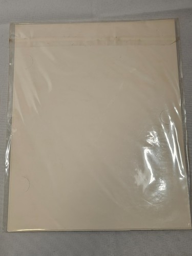 Stampa Vintage Dufex Foil 8in x 10in Religiosa Madre Maria - Sigillata - Foto 5 di 8