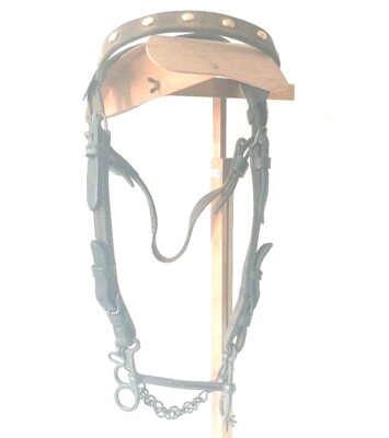 harnais bride et mors pour cheval (armée française