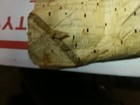 Picture 4 of 7