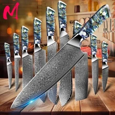 Damascus Steel Kitchen Chef Knife Professional Knives Sharp Abalone Shell Handle