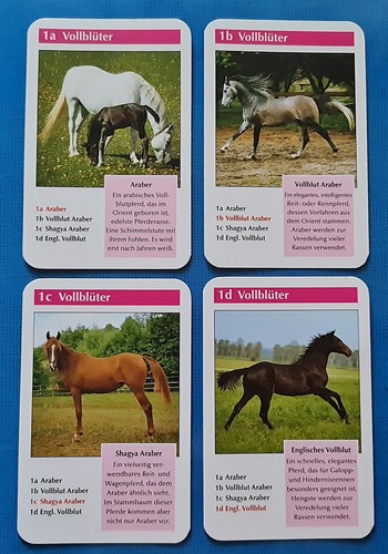 Authentic Horses & Ponies 2007 Equestrian Quartett Playing Cards Germany - Picture 4 of 13