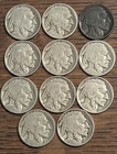 GROUP of 11 Buffalo Nickels