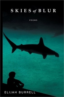 Skies of Blur (Paperback or Softback)