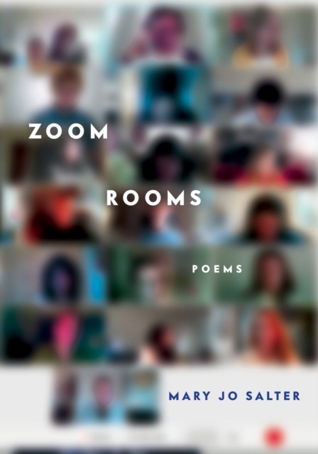 Zoom Rooms Poems by Mary Jo Salter (Hardback Book)