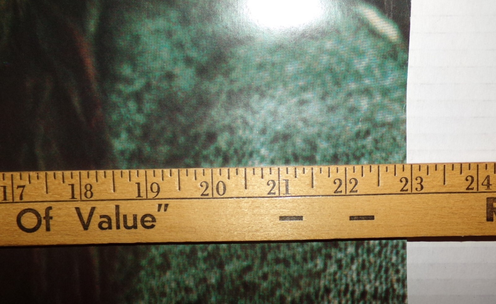 Picture 9 of 9