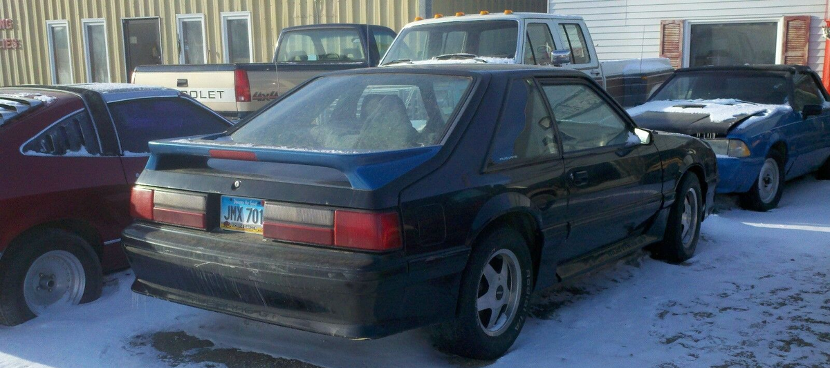 Door Complete 1979-93 Mustang Ford 87 88 89 90 91 92 93 1987