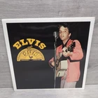 Elvis Presley - Elvis At Sun - 12" Vinyl LP Record 2004 BMG Music New & Sealed