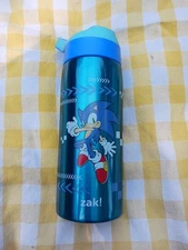19oz Vacuum Riverside Portable Drinkware Bottle 'Sonic' - Zak Designs