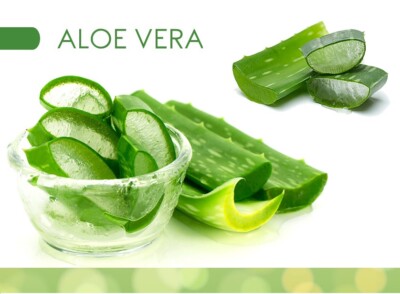 Chogan BIO AloeVera erste Hilfe Spray Insektenstich Ekzem Akne Verbrennung  150ml | eBay