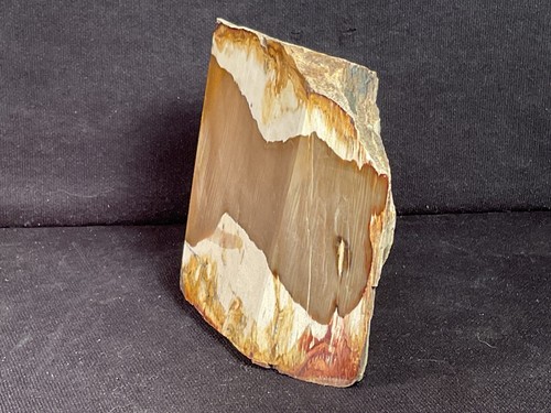 ~RW~ POLISHED "PETRIFIED WOOD STANDUP SPECIMEN" ~~ CRAB TREE CREEK~~OREGON - Picture 2 of 4