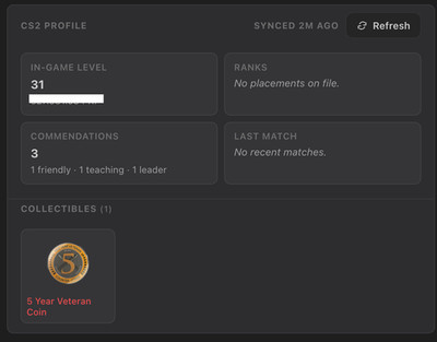 CS2 CSGO Counterstrike Steam Account - 5Y, Premier/Faceit, Level 31-37, no Prime