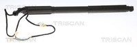 Triscan Gasfeder, Koffer-/Laderaum 8710 11304 FüR BMW