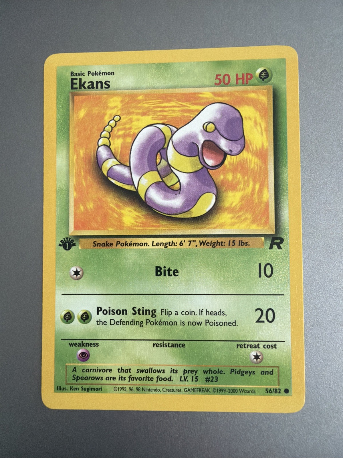 Ekans - 56/82 - Team Rocket - Pokemon - 1st Edition - Vintage WOTC - 2000 - NM