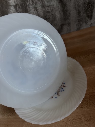 Set of 3 Termocrisa Mexico Milk Glass Blue & Brown Floral Swirl Edge 8.75”Plates - Picture 11 of 11