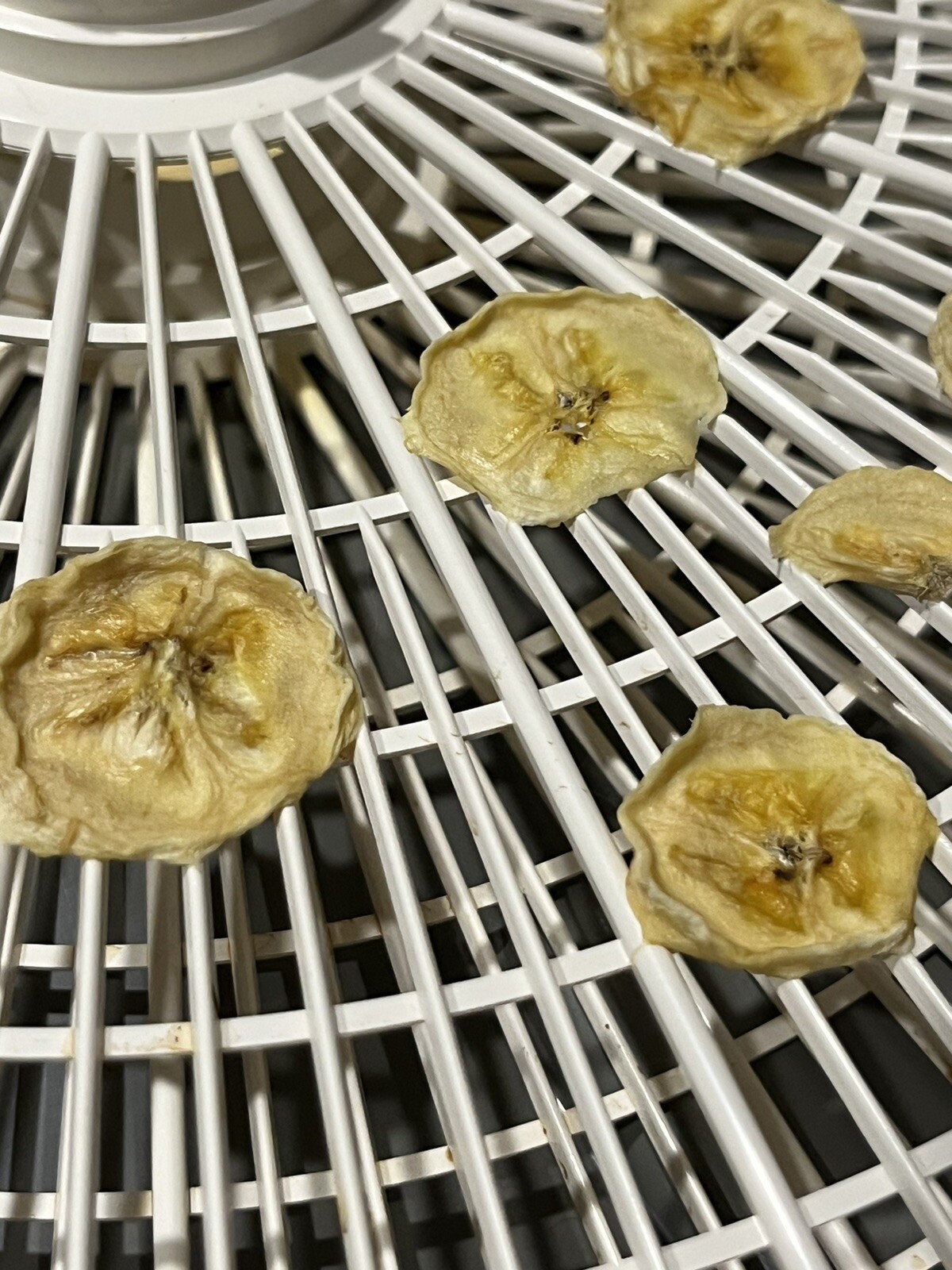 Vintage American Harvest Dehydrator Snackmaster 2200 FD30 2 Trays