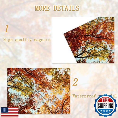 SCWISOAS 4 Pack Fluorescent Light Covers for Ceiling Lights -Magnetic Cloud C - Picture 5 of 5