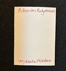 Bild 3 von 5