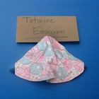 Caden Lane Sun Hat With Straps  Beach Breeze Floral Toddler Size XS — photo 1